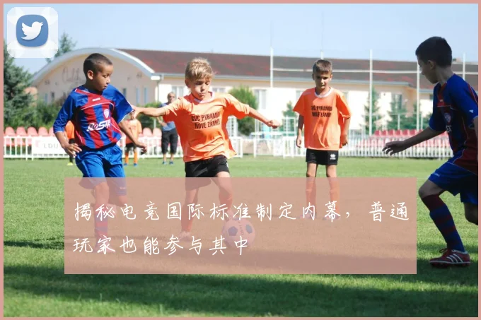 揭秘电竞国际标准制定内幕，普通玩家也能参与其中