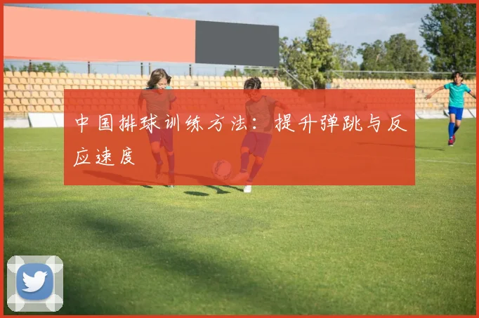 中国排球训练方法：提升弹跳与反应速度