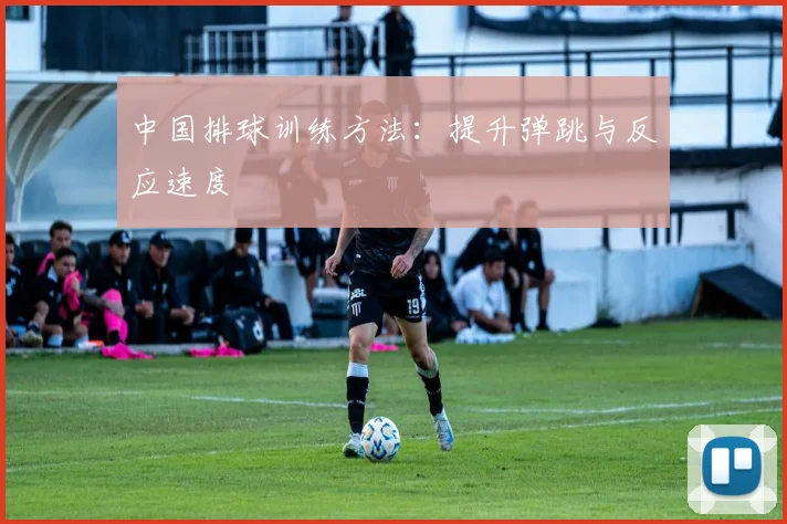 中国排球训练方法：提升弹跳与反应速度