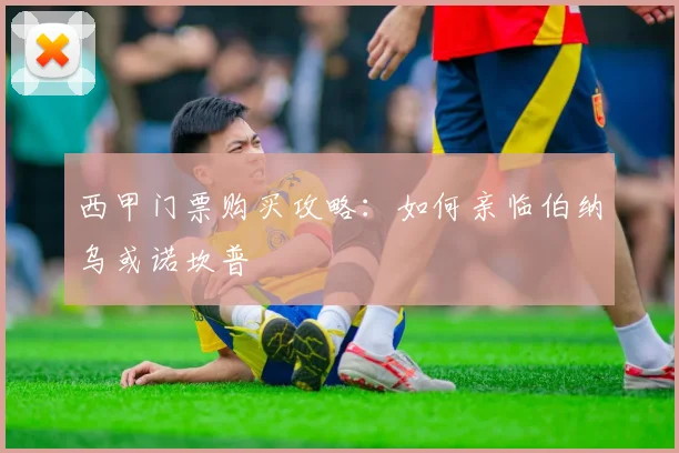 西甲门票购买攻略：如何亲临伯纳乌或诺坎普